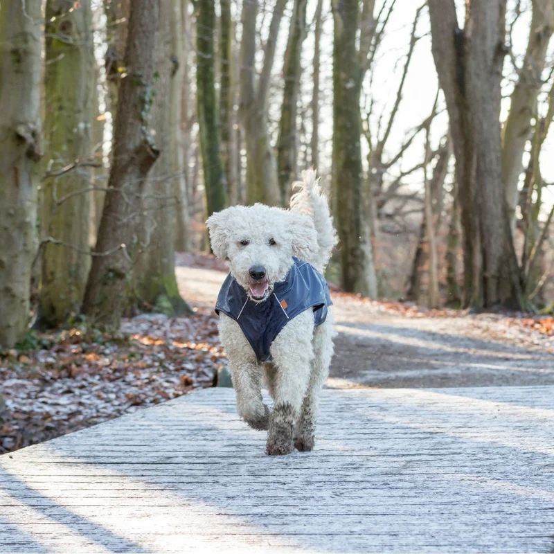 BE NORDIC Hunde Regenmantel Husum wasserdicht