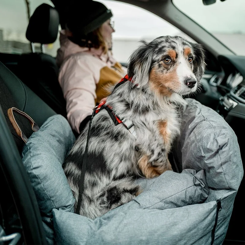 Autobett, Reisebett Bena für Hunde