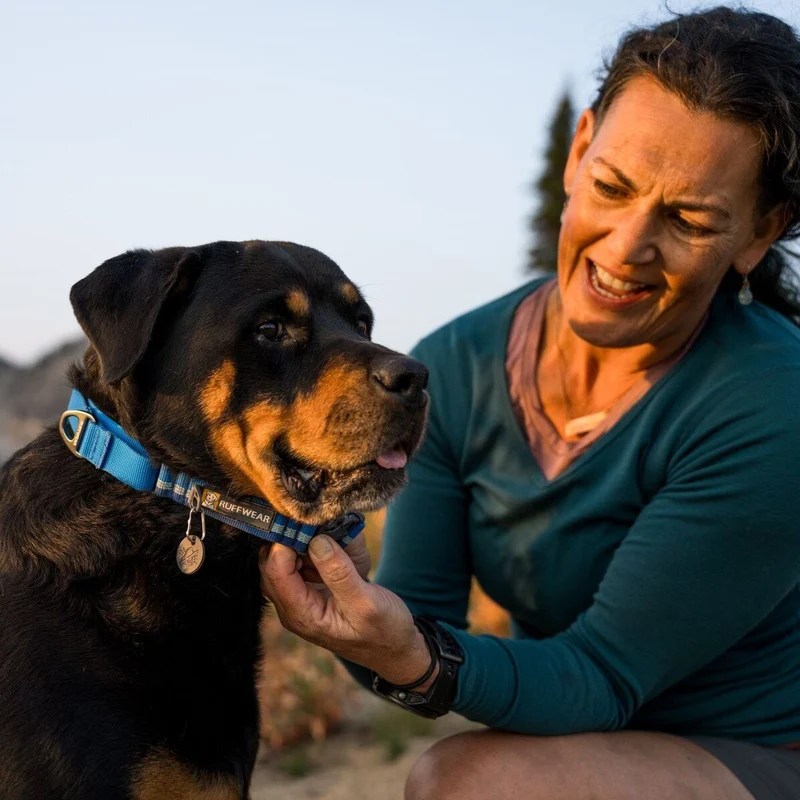 Ruffwear Web Reaction™ Collar Hundehalsband