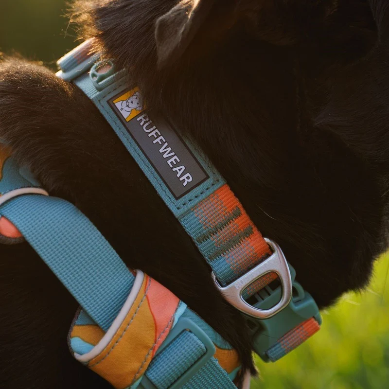 Front Range Collar Hundehalsband 2.0