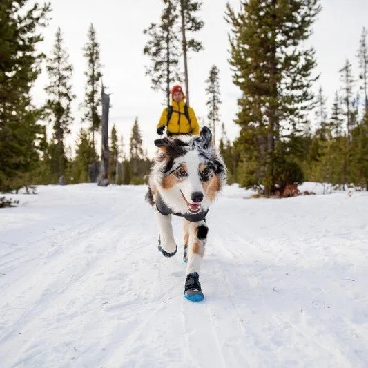 Ruffwear Polar Trex™ Hundeschuhe