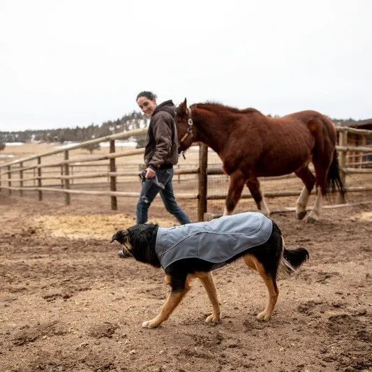 Ruffwear Overcoat Utility Jacket für Hunde