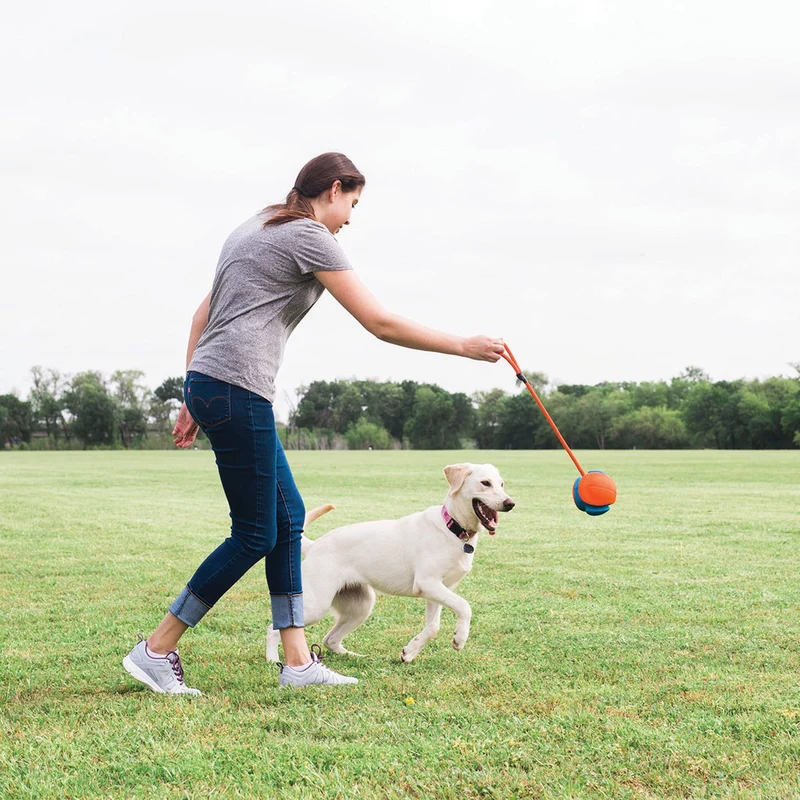 Chuckit! Rope Fetch