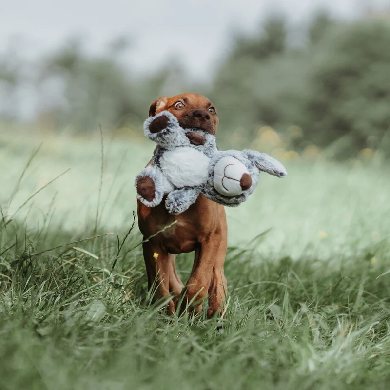 HUNTER Hundespielzeug Faro