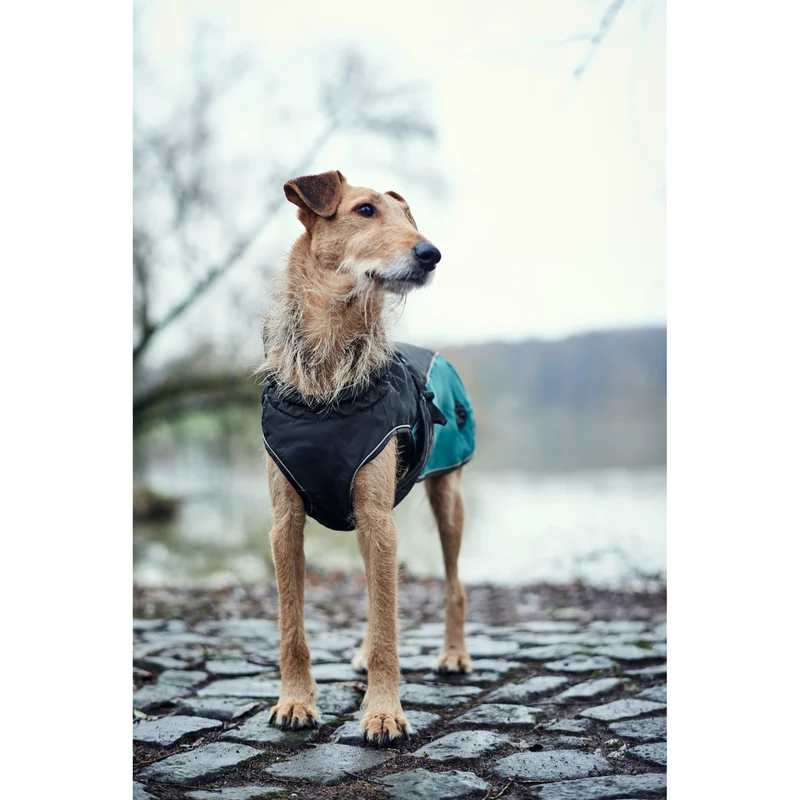 Hunter Hundemantel Uppsala Allrounder