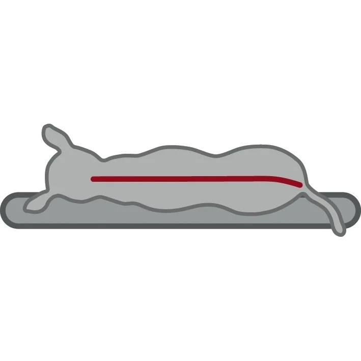 Vital Hunde Liegematte Bendson