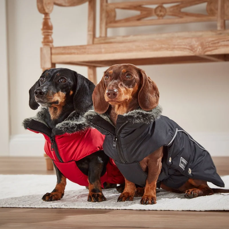 Wolters Winterjacke Amundsen für Dackel-warmer wasserdichter Hundemantel