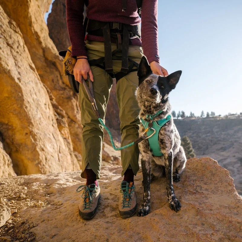 Ruffwear Knot-a-Leash Hundeleine