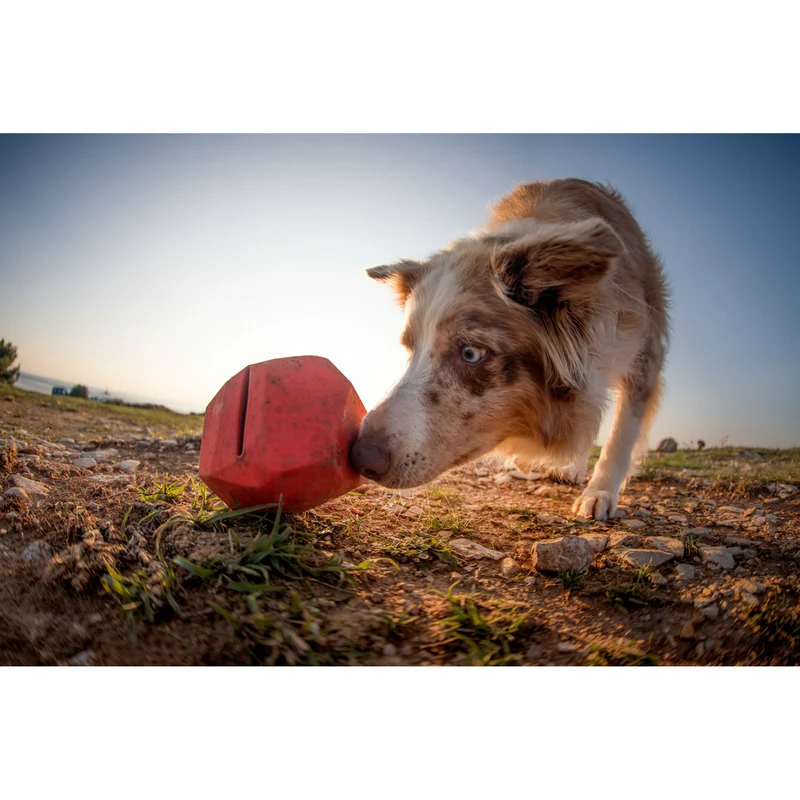 Ruffwear Spielzeug für Hunde Gnawt-a-Rock