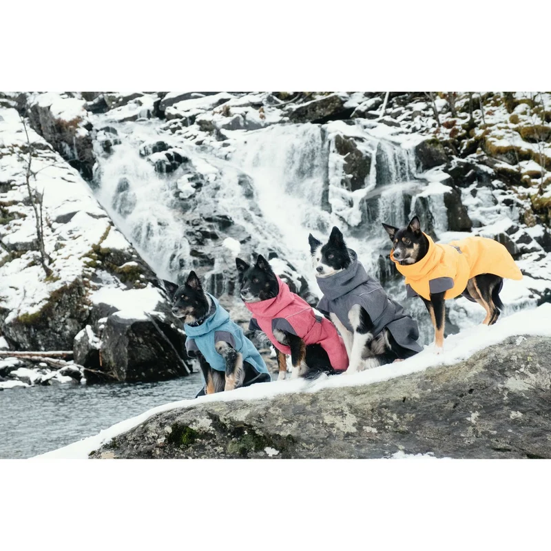 Expedition Wintermantel für Hunde