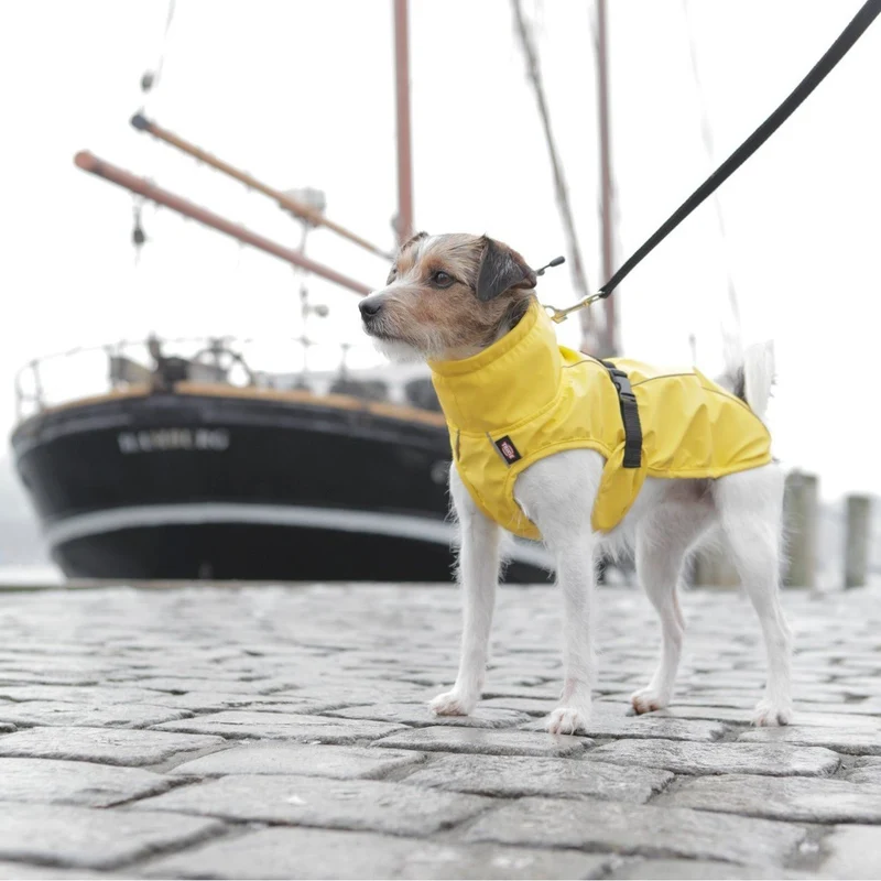 TRIXIE Hunde Regenmantel Vimy – wasserdicht, mit Bauchschutz & Reflektoren | XS–XL