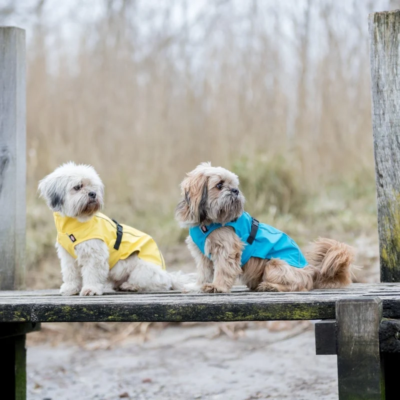 TRIXIE Hunde Regenmantel Vimy – wasserdicht, mit Bauchschutz & Reflektoren | XS–XL