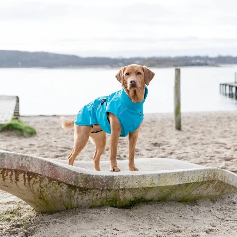 TRIXIE Hunde Regenmantel Vimy – wasserdicht, mit Bauchschutz & Reflektoren | XS–XL