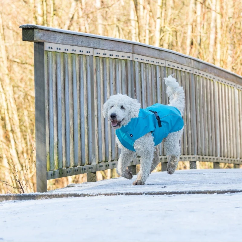 TRIXIE Hunde Regenmantel Vimy – wasserdicht, mit Bauchschutz & Reflektoren | XS–XL