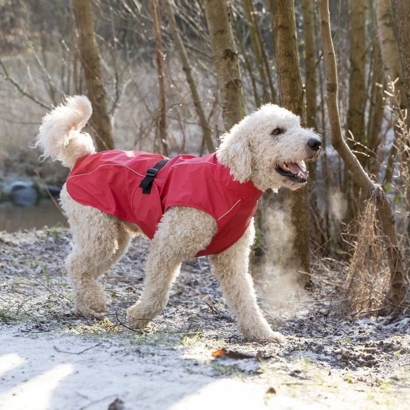 TRIXIE Hunde Regenmantel Vimy – wasserdicht, mit Bauchschutz & Reflektoren | XS–XL