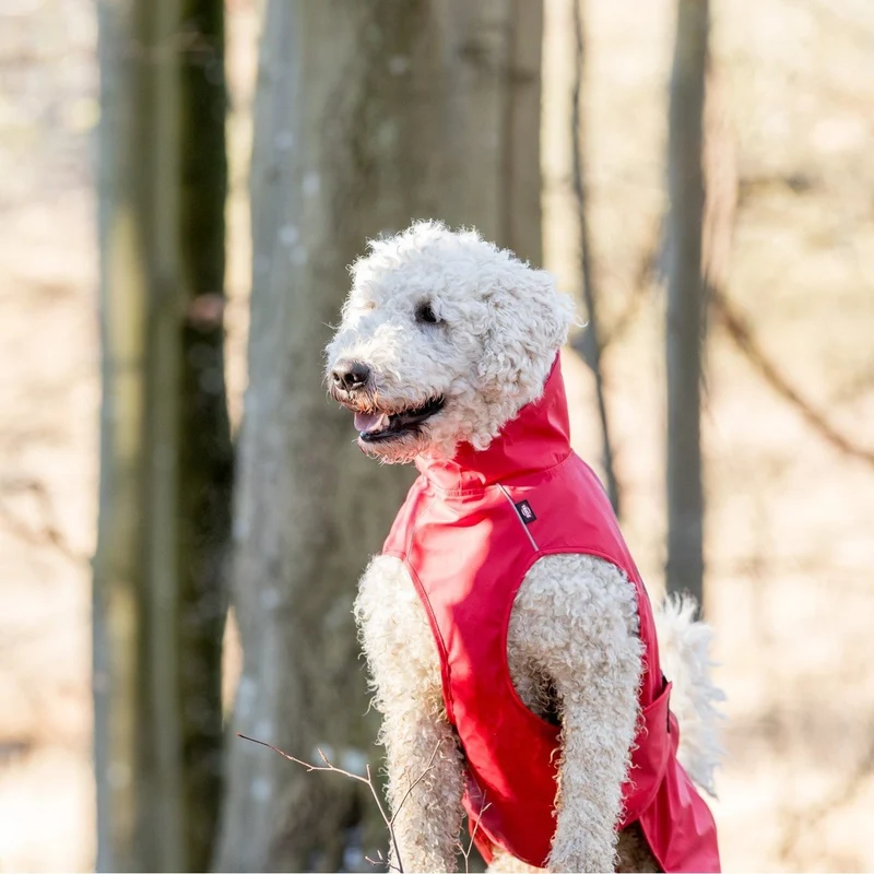 TRIXIE Hunde Regenmantel Vimy – wasserdicht, mit Bauchschutz & Reflektoren | XS–XL