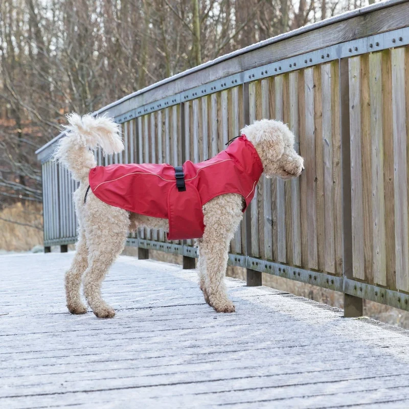TRIXIE Hunde Regenmantel Vimy – wasserdicht, mit Bauchschutz & Reflektoren | XS–XL