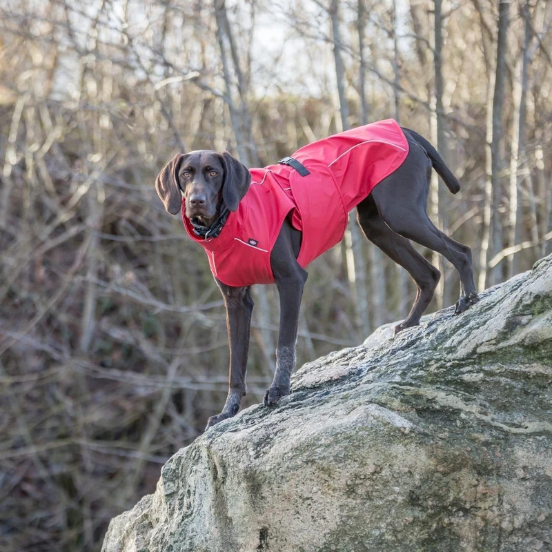 TRIXIE Hunde Regenmantel Vimy – wasserdicht, mit Bauchschutz & Reflektoren | XS–XL