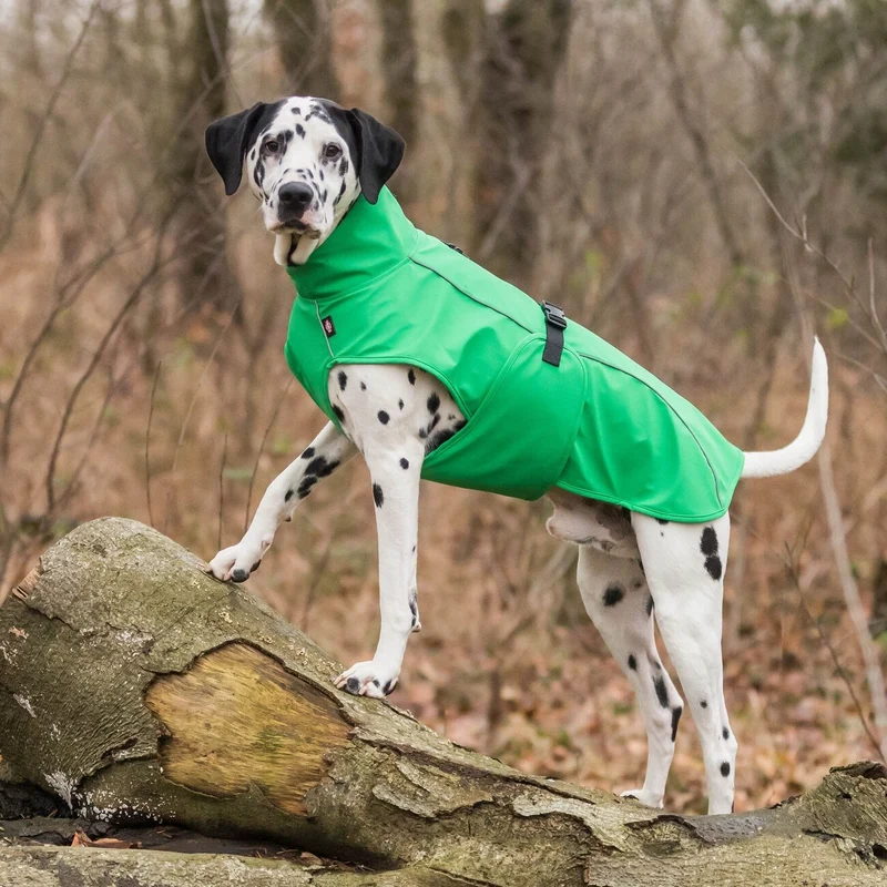 TRIXIE Hunde Regenmantel Vimy – wasserdicht, mit Bauchschutz & Reflektoren | XS–XL
