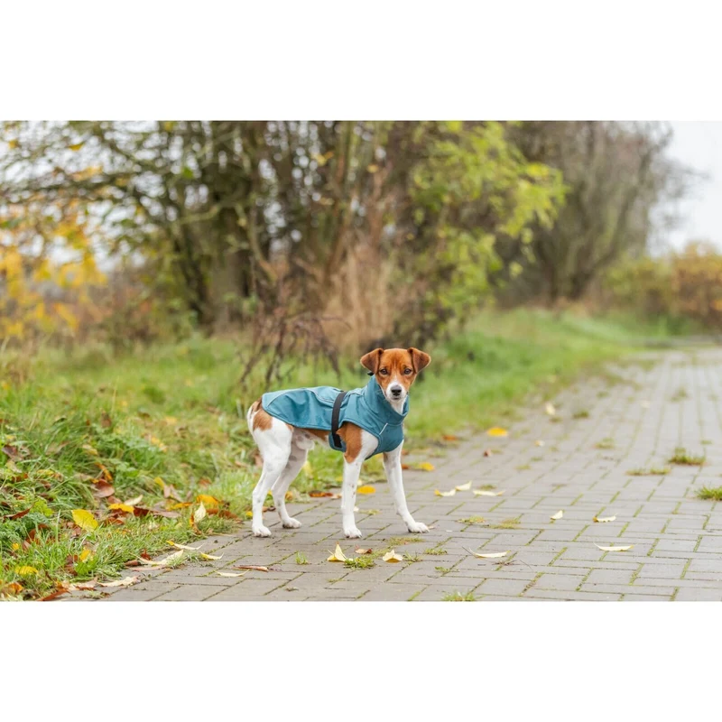 TRIXIE Hunde Regenmantel Vimy – wasserdicht, mit Bauchschutz & Reflektoren | XS–XL