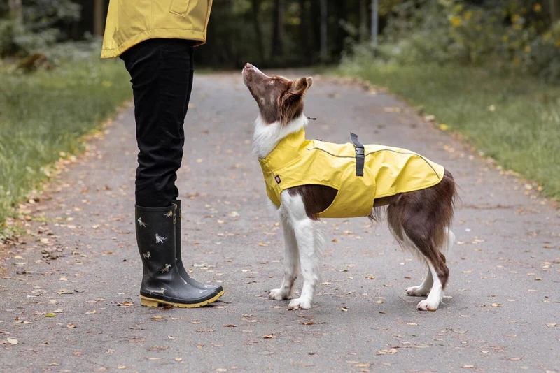 TRIXIE Hunde Regenmantel Vimy – wasserdicht, mit Bauchschutz & Reflektoren | XS–XL