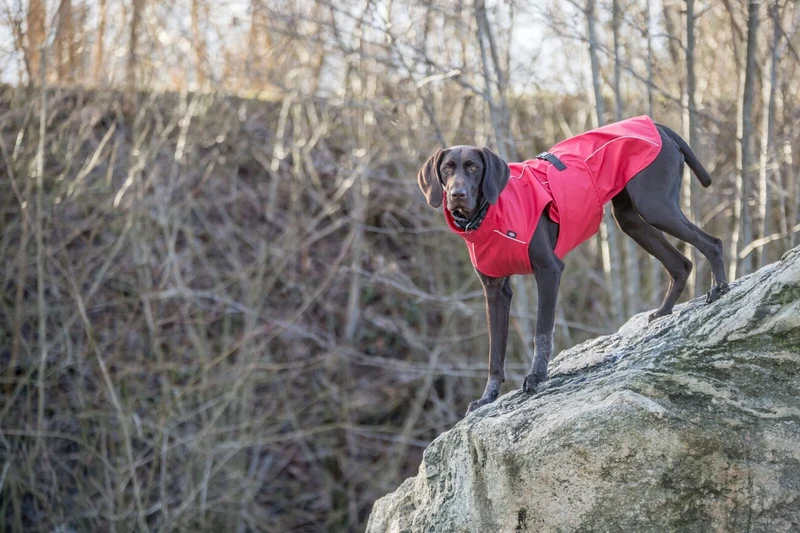 TRIXIE Hunde Regenmantel Vimy – wasserdicht, mit Bauchschutz & Reflektoren | XS–XL