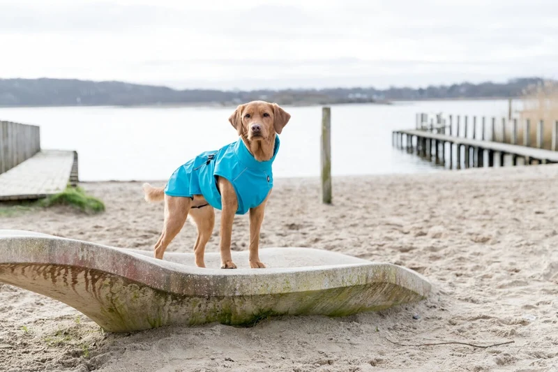 TRIXIE Hunde Regenmantel Vimy – wasserdicht, mit Bauchschutz & Reflektoren | XS–XL
