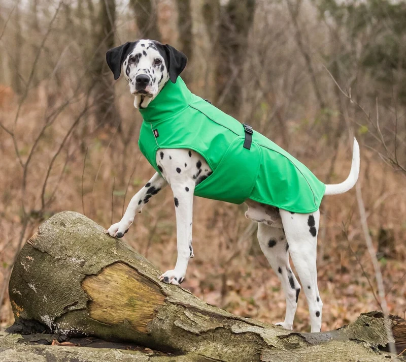 TRIXIE Hunde Regenmantel Vimy – wasserdicht, mit Bauchschutz & Reflektoren | XS–XL