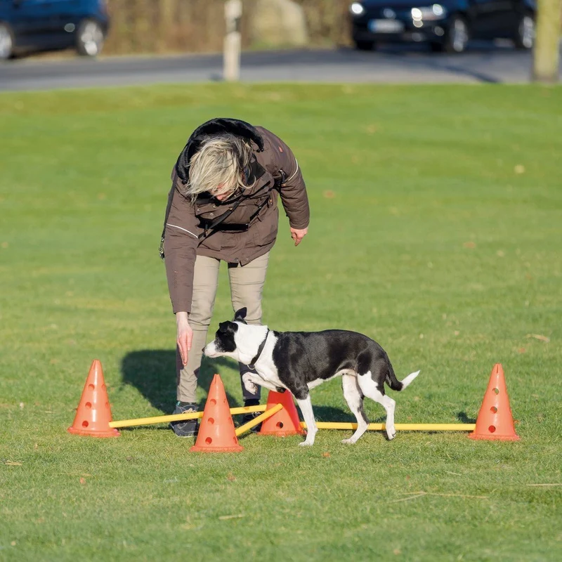 Hindernis Trainingsset mit Pylonen für Hunde