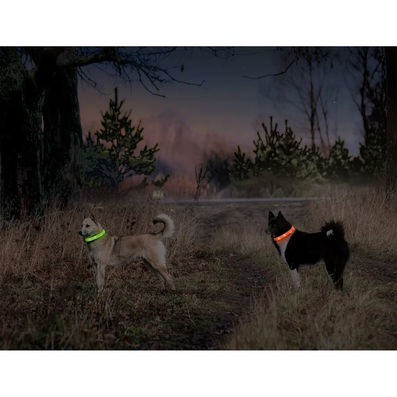 Visio Light Leuchthalsband LED für Hunde mit Langhaar