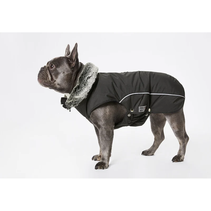 Wolters Winterjacke Amundsen für Mops & Co