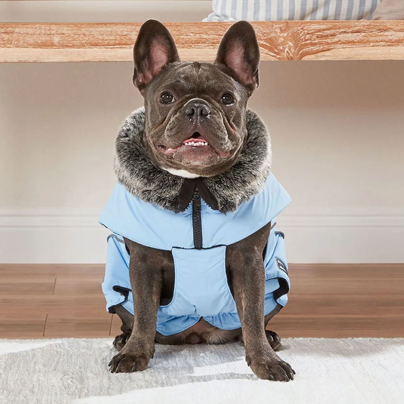 Wolters Winterjacke Amundsen für Mops & Co