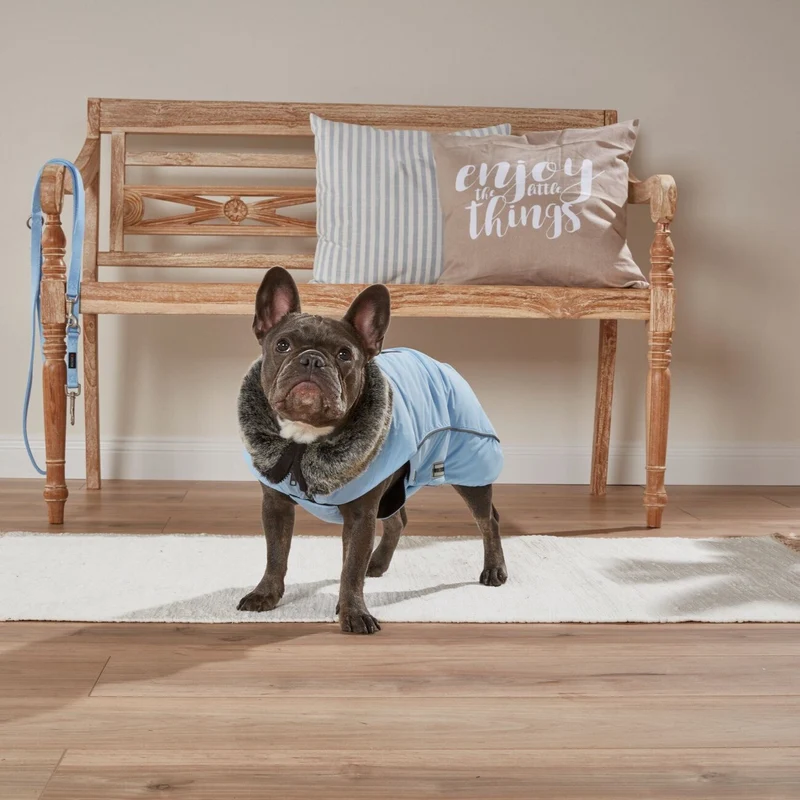 Wolters Winterjacke Amundsen für Mops & Co