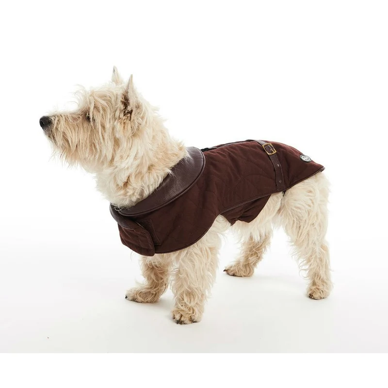 City Hundemantel