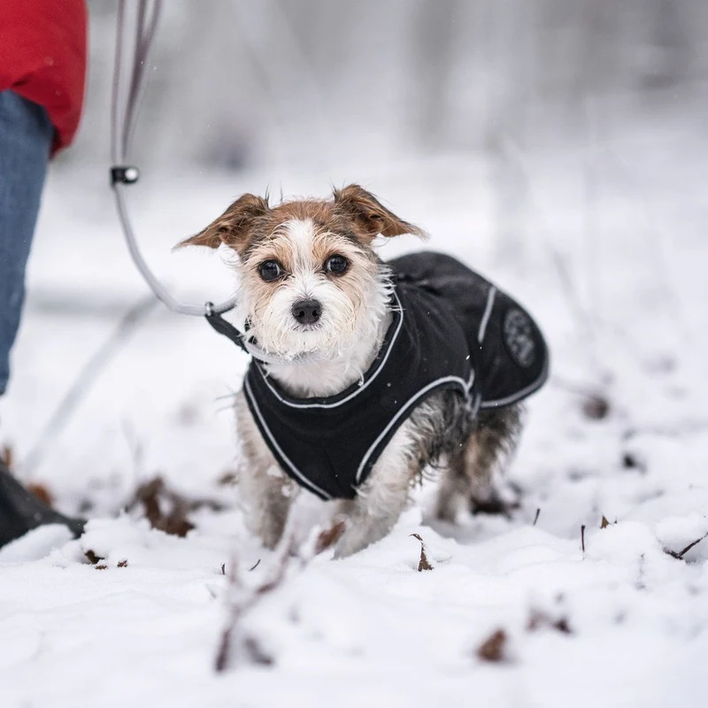 HUNTER Softshell Hundemantel Uppsala
