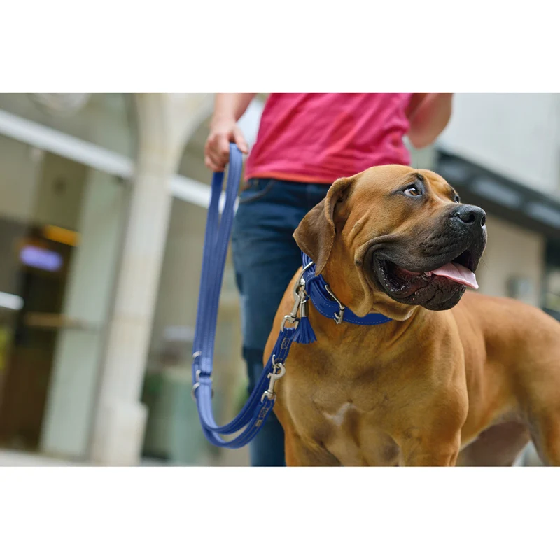 HUNTER Hundehalsband Cannes