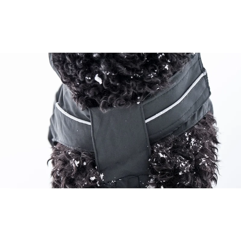 DogBite Hunde Ganzjahres Regenjacke Matt