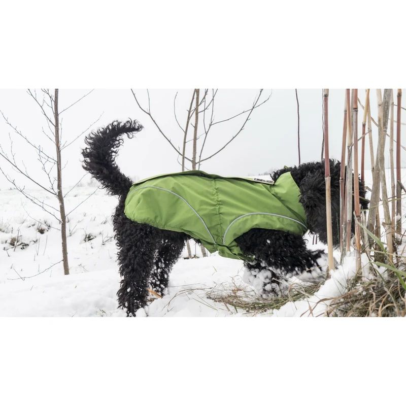 DogBite Hunde Ganzjahres Regenjacke Matt