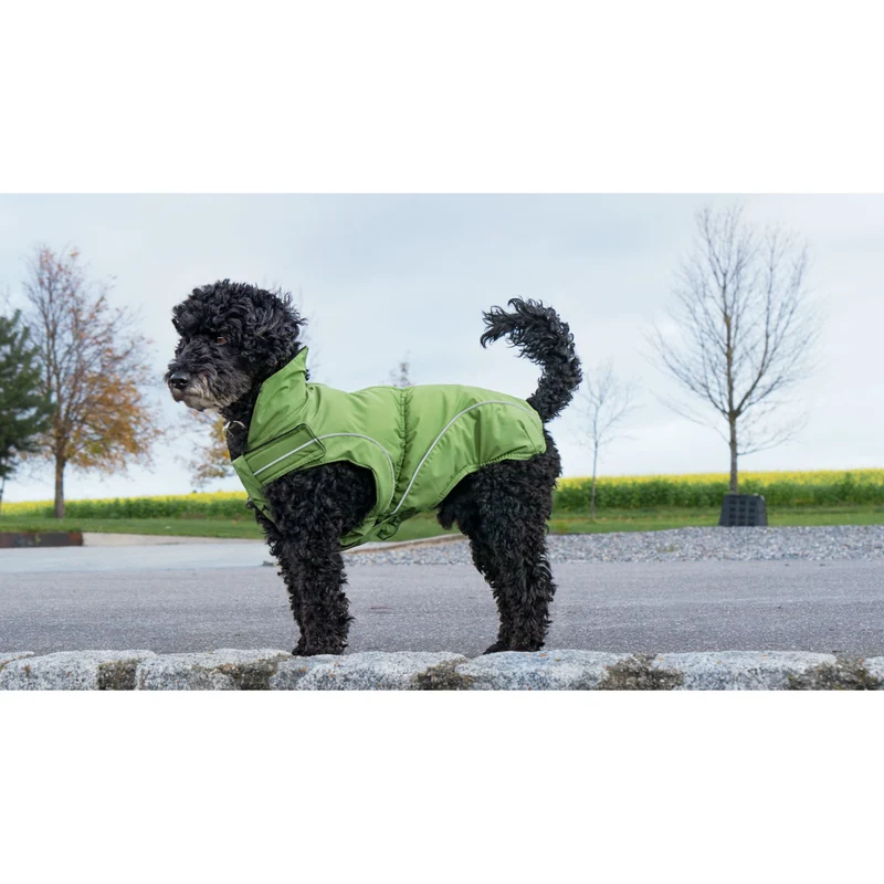 DogBite Hunde Winterjacke Matt