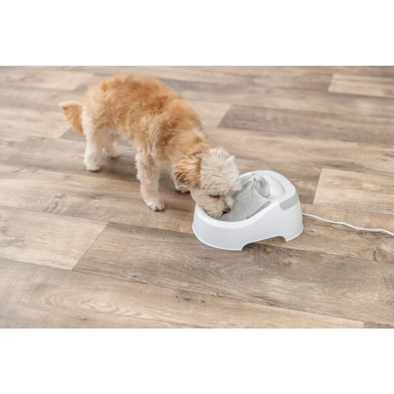 Wasserautomat für Hunde und Katzen Duo Stream