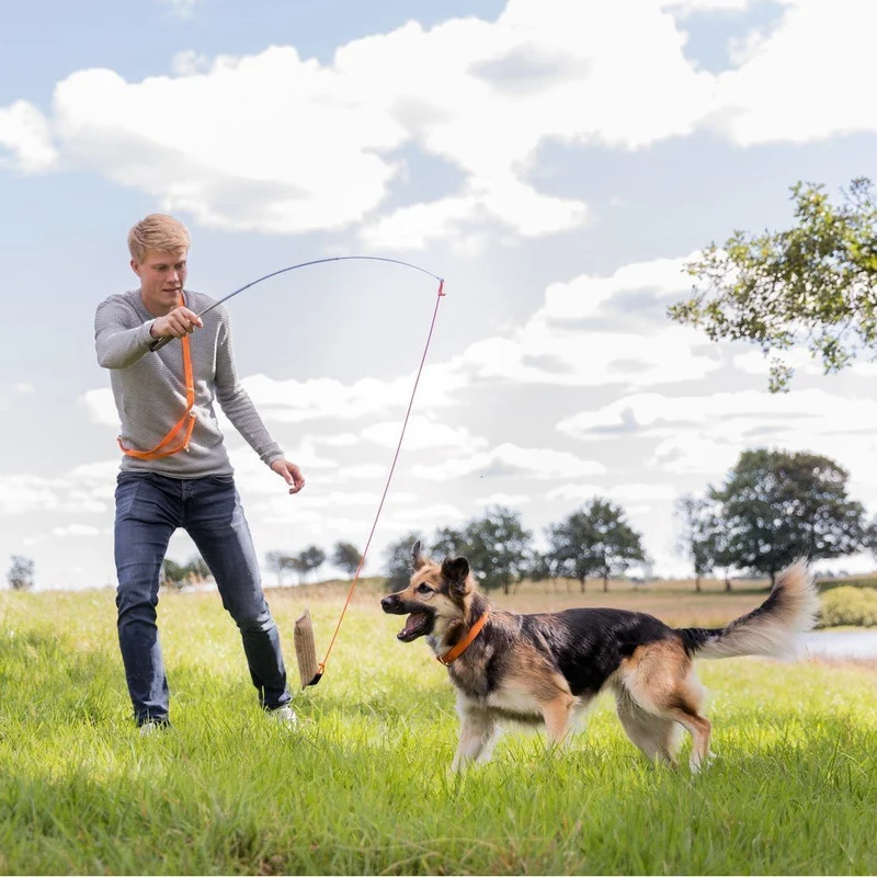Dog Activity Reizangel für Hunde