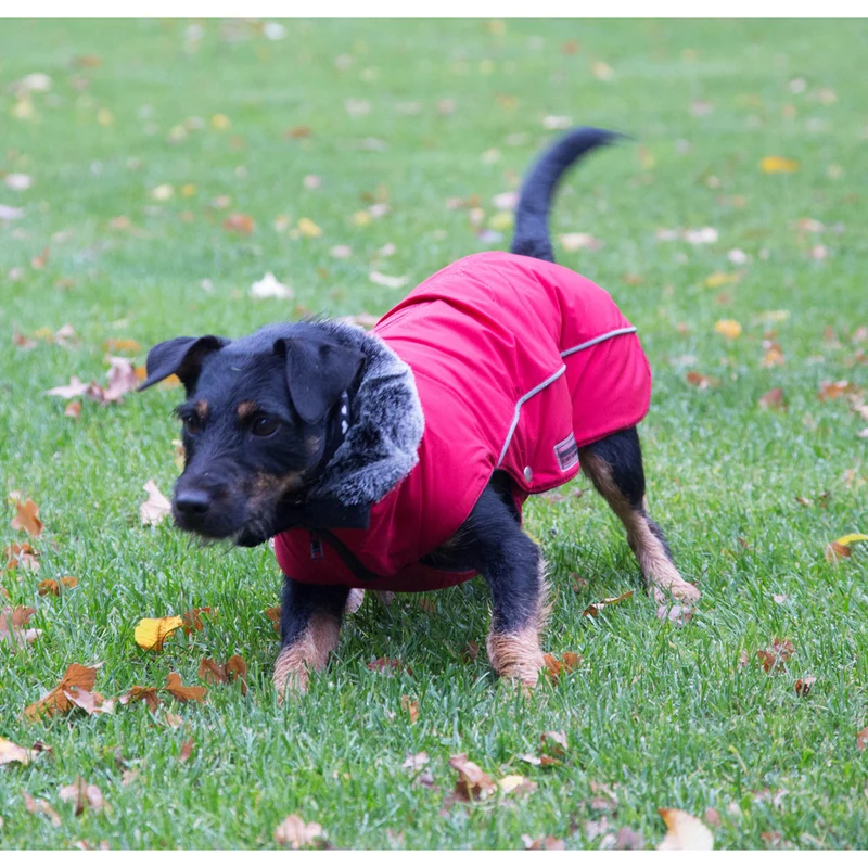 Wolters Winterjacke Amundsen-warmer wasserdichter Hundemantel