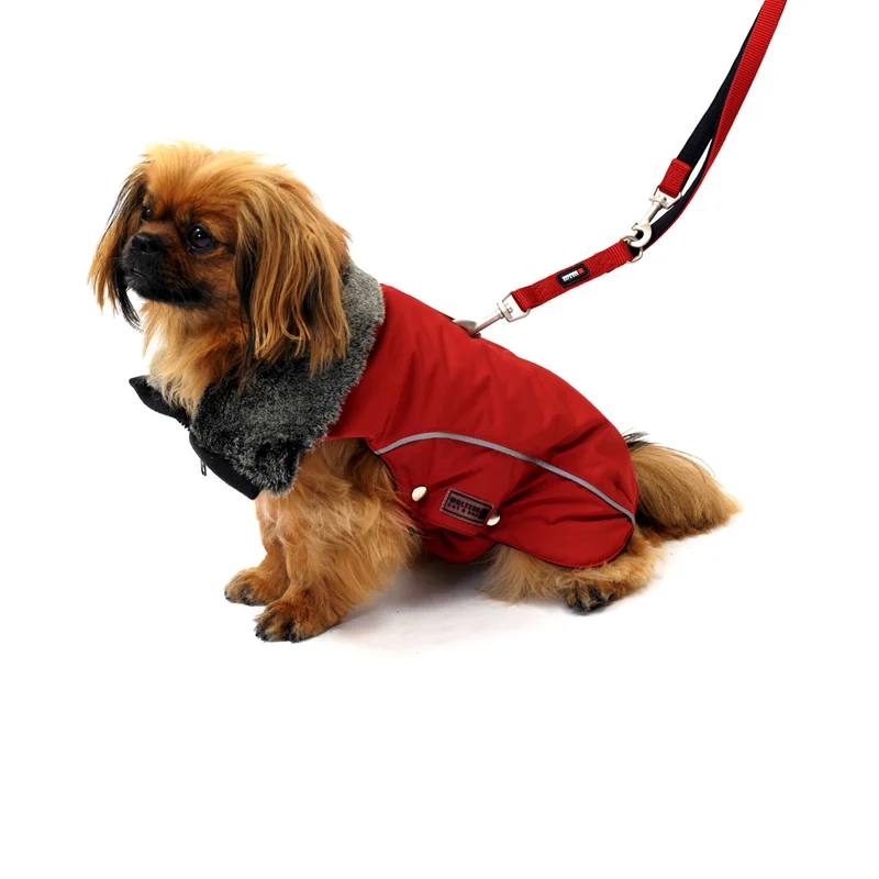 Wolters Winterjacke Amundsen-warmer wasserdichter Hundemantel