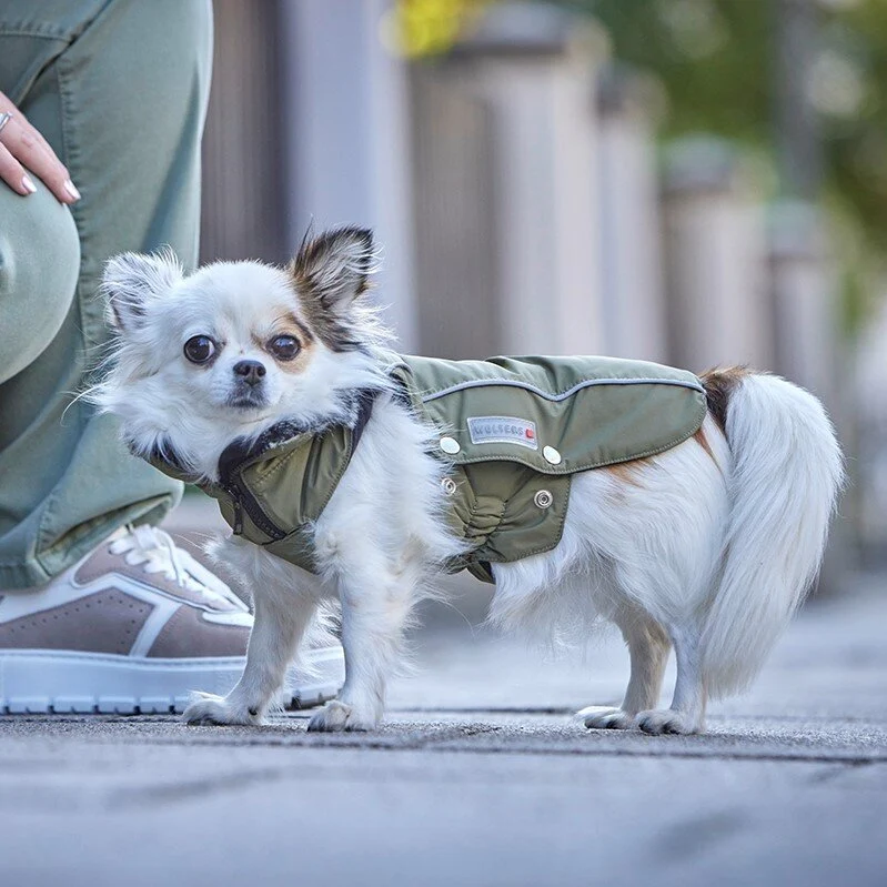 Wolters Winterjacke Amundsen-warmer wasserdichter Hundemantel