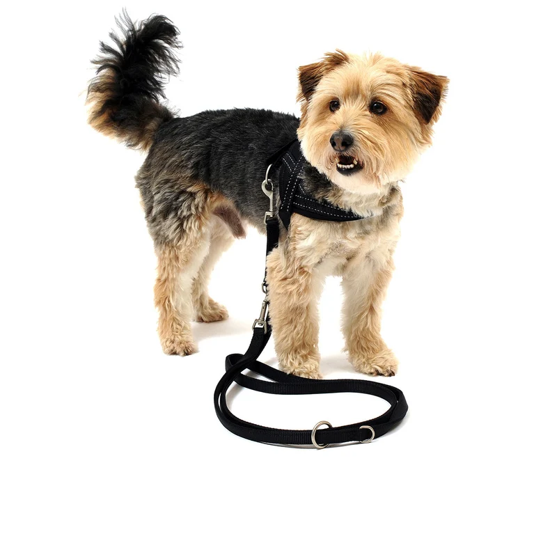 Wolters Hundegeschirr Soft & Safe reflektierend