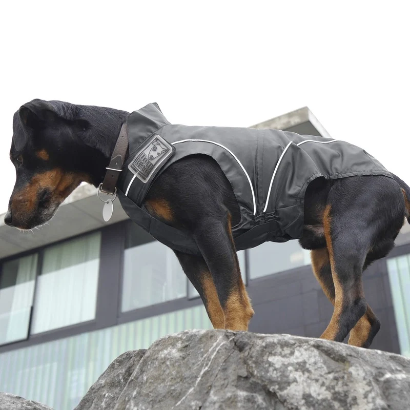 DogBite Hunde Regenjacke