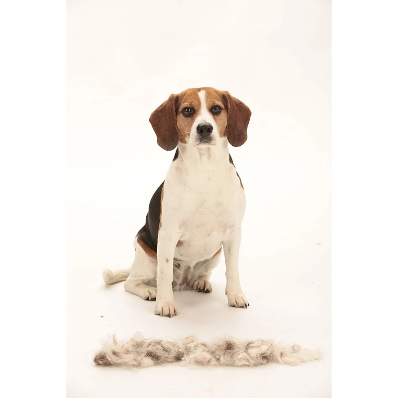 FURminator Hund Kurzhaar