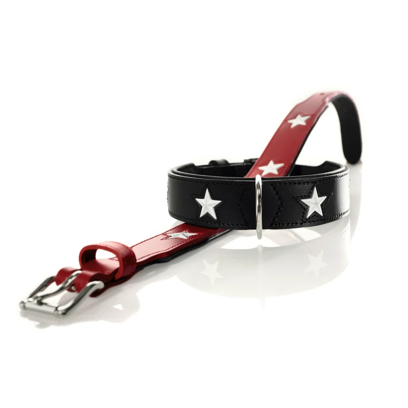 Hunter Halsband Magic Star