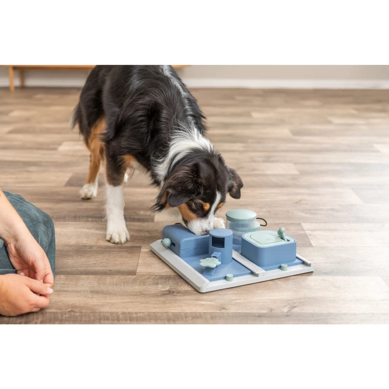 Dog Activity Strategiespiel Poker Box 2 für Hunde