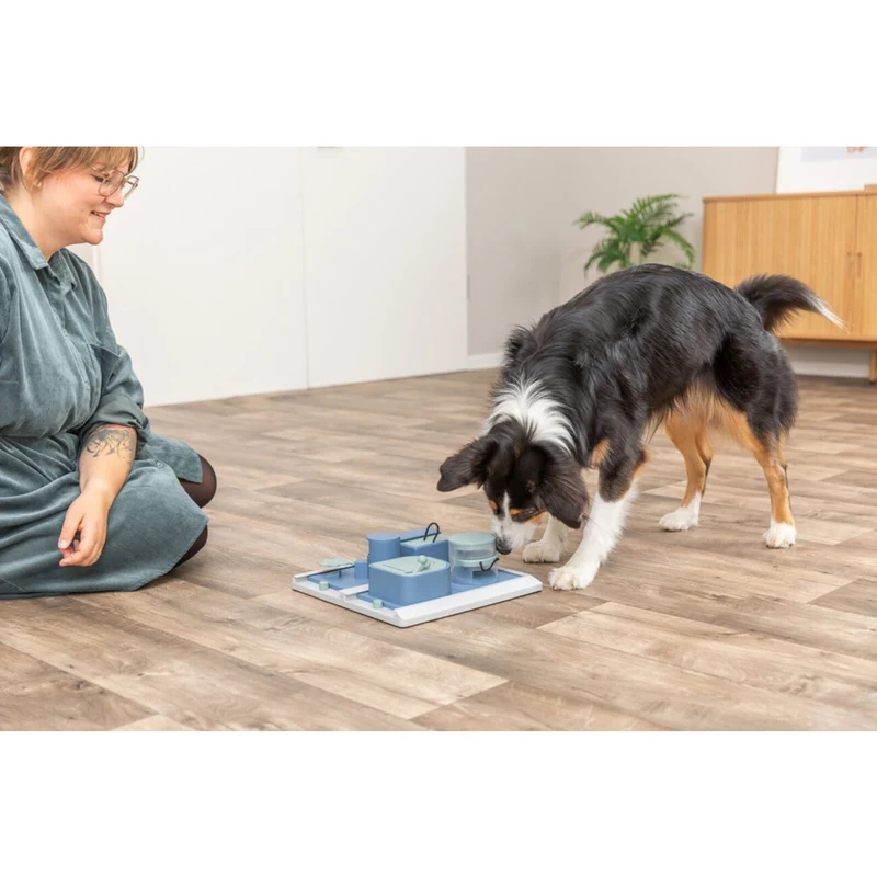 Dog Activity Strategiespiel Poker Box 2 für Hunde